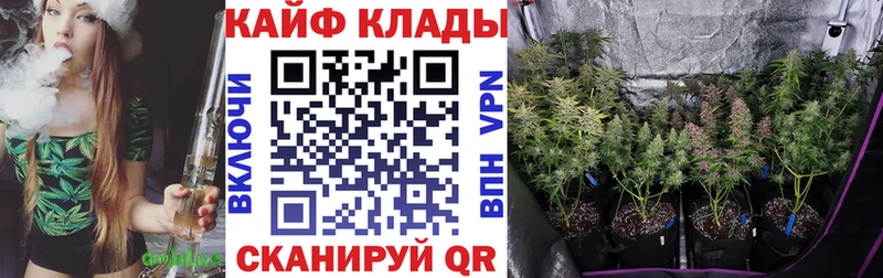 Купить закладку Апатиты KRAKEN как войти  Метадон  Alpha PVP  Меф мяу мяу  Cocaine  ГАШ 