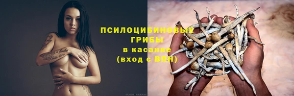 spice Алексин