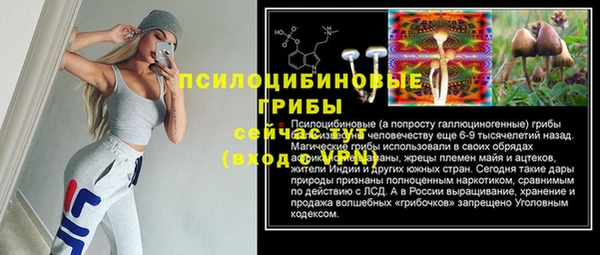 spice Алексин