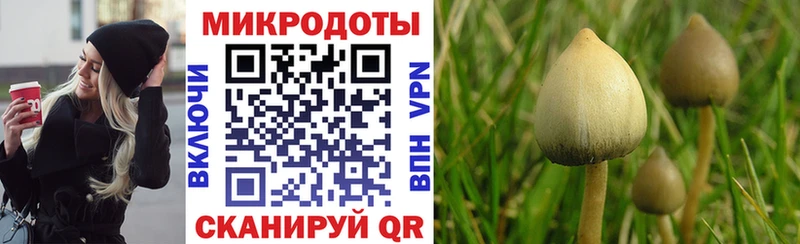 Псилоцибиновые грибы GOLDEN TEACHER  дарнет шоп  Апатиты 